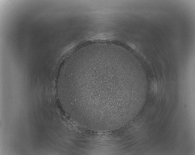 X0000067461350200604142314