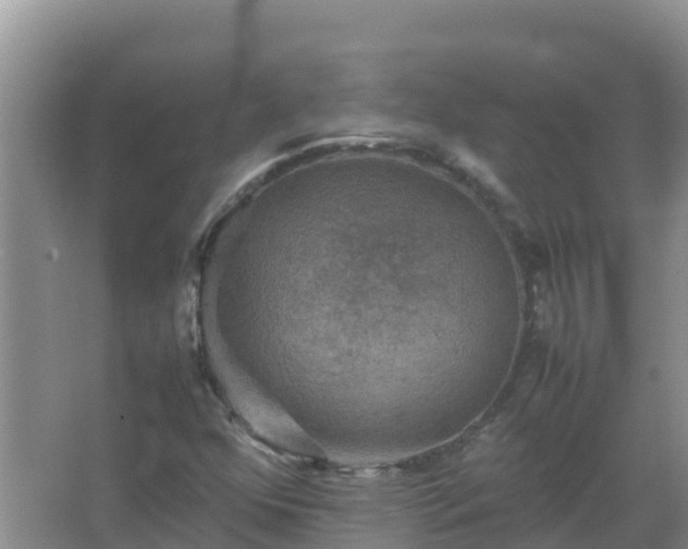 X0000067461352200604142314