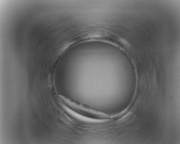 X0000067461353200604142314