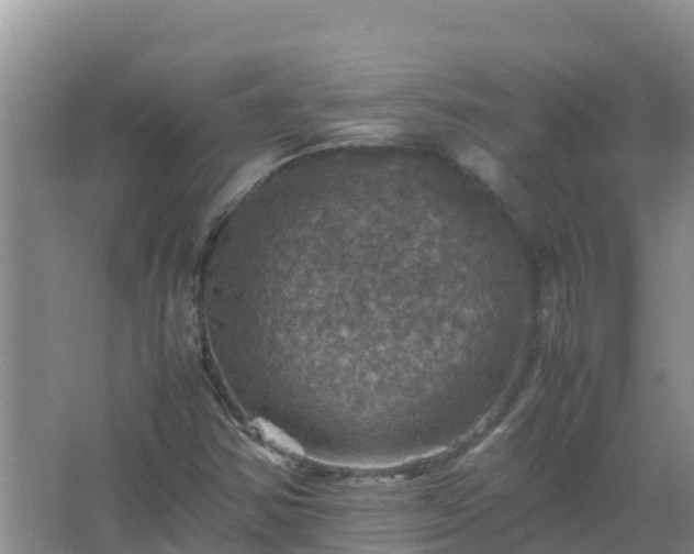 X0000067461354200604142314