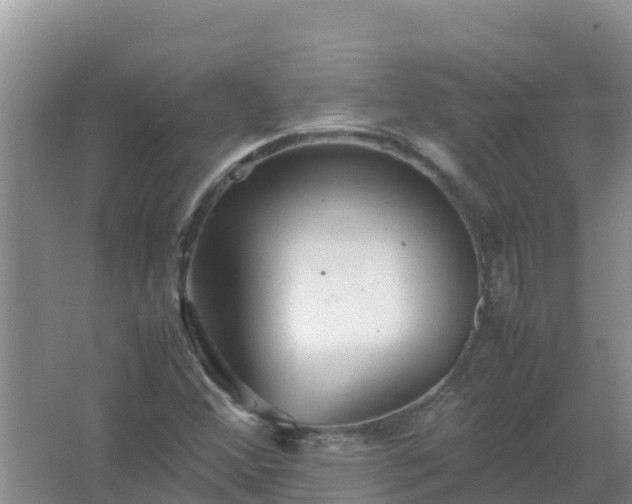 X0000067461356200604142314