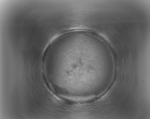 X0000067461357200604142314