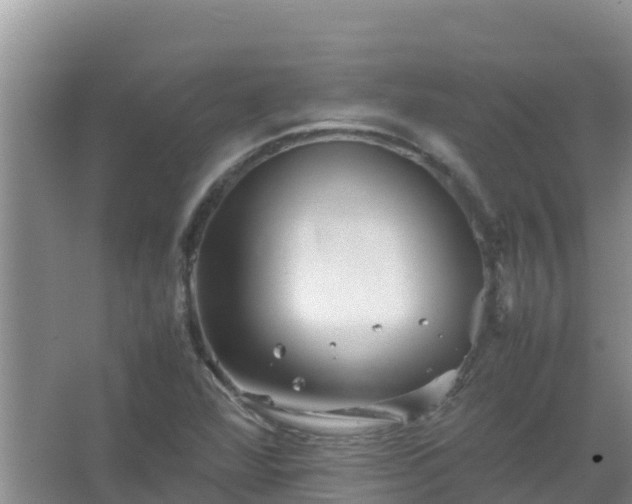 X0000067461360200604142314