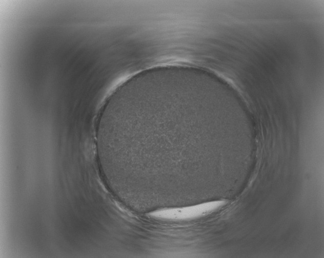 X0000067461363200604142314