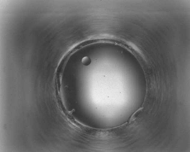 X0000067461364200604142314