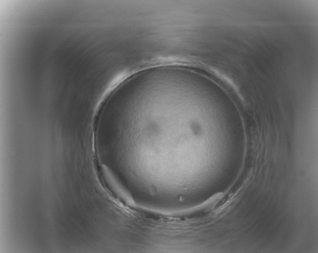 X0000067461365200604142314