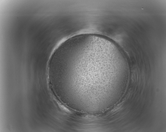 X0000067461366200604142314