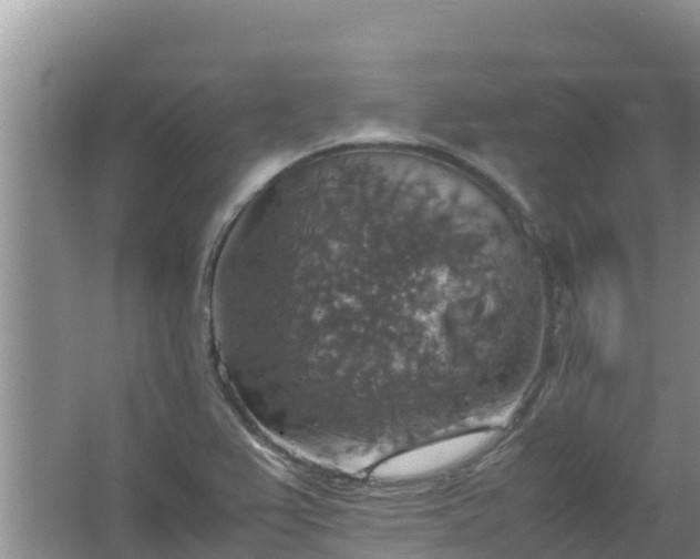 X0000067461367200604142314