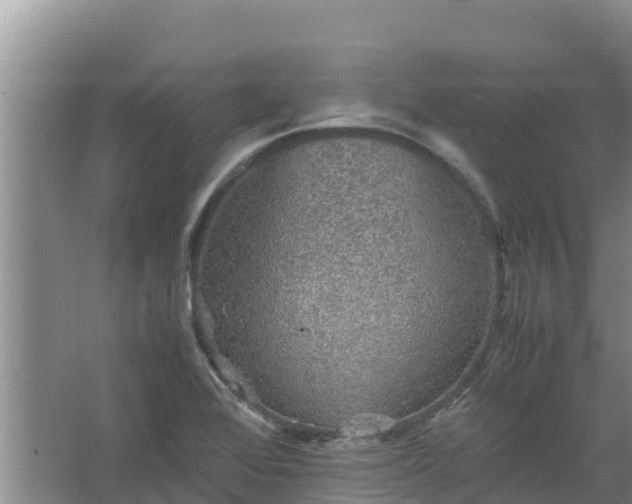 X0000067461368200604142314