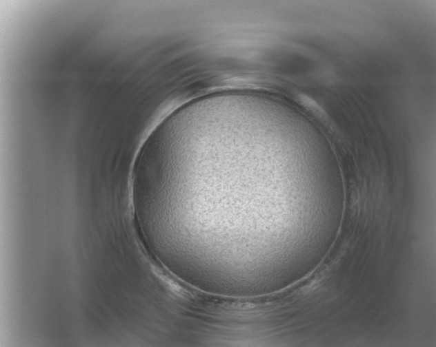 X0000067461370200604142314