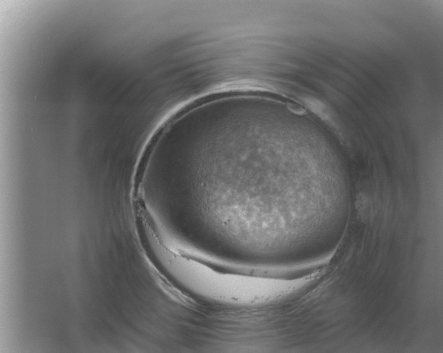 X0000067461372200604142314