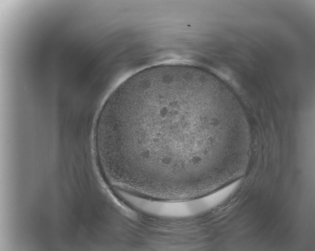 X0000067461375200604142313