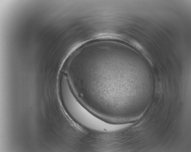 X0000067461376200604142313