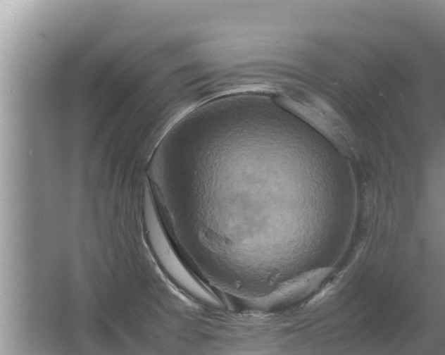 X0000067461377200604142313