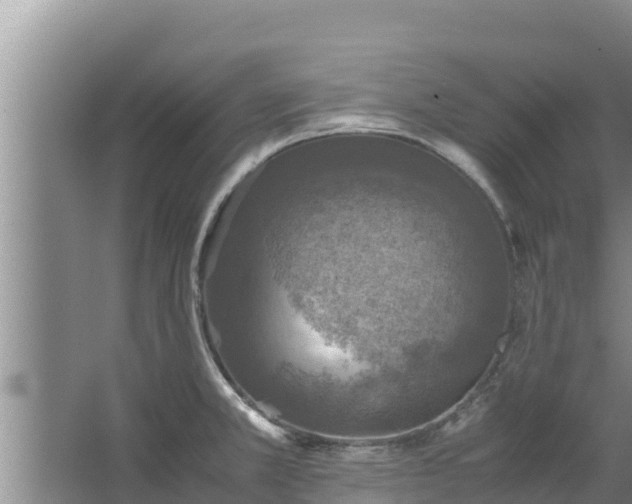 X0000067461381200604142313