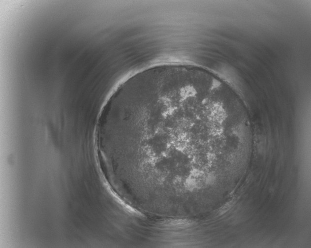 X0000067461382200604142313