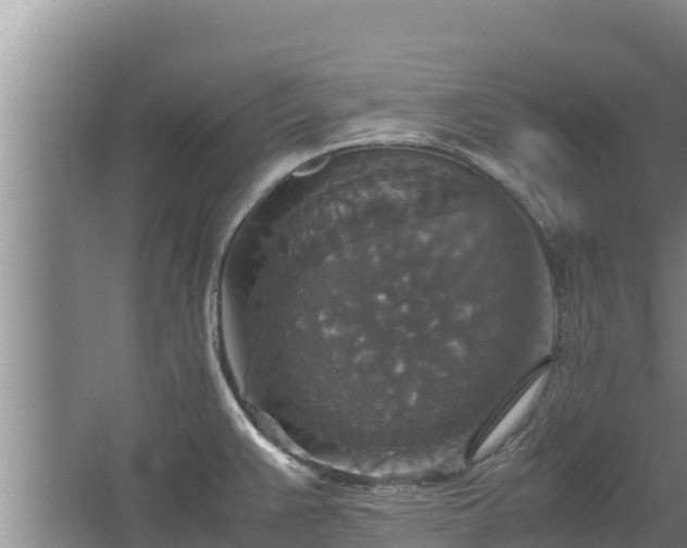 X0000067461383200604142313