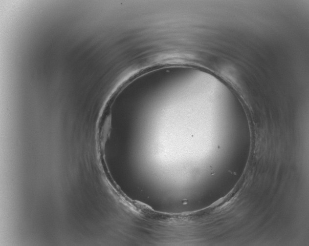 X0000067461384200604142313