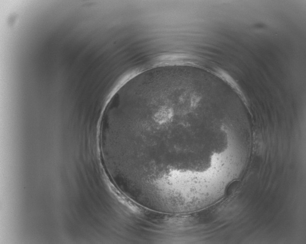 X0000067461386200604142313