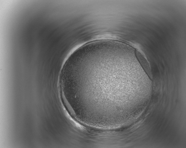 X0000067461387200604142313