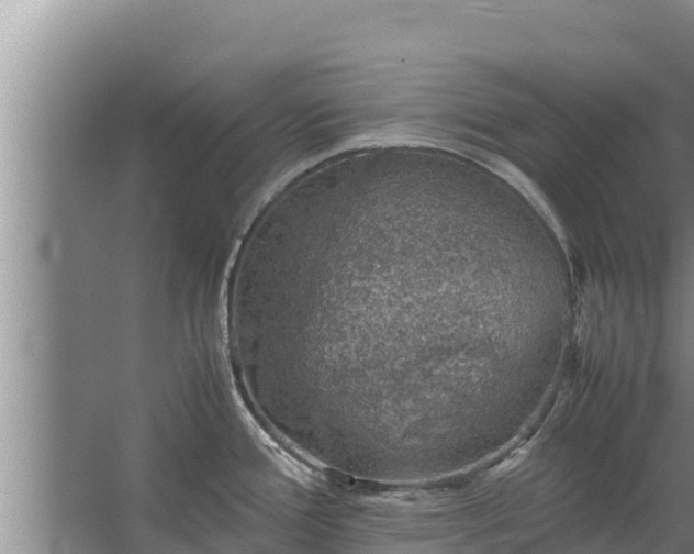 X0000067461388200604142313