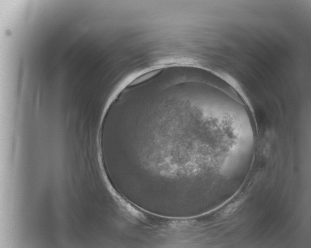 X0000067461389200604142313