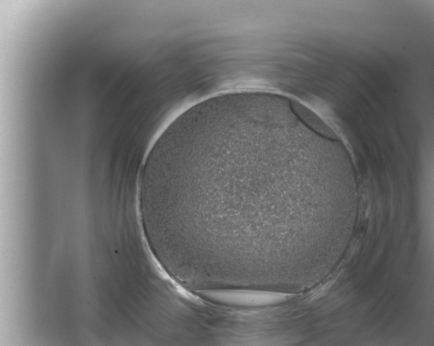 X0000067461390200604142313