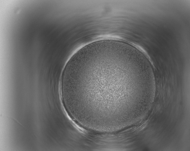 X0000067461391200604142313