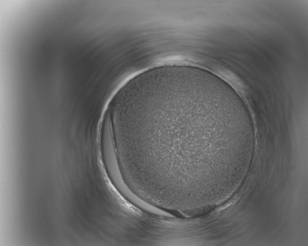 X0000067461392200604142313