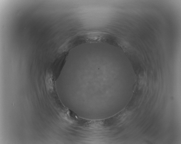 X0000067461394200604142312