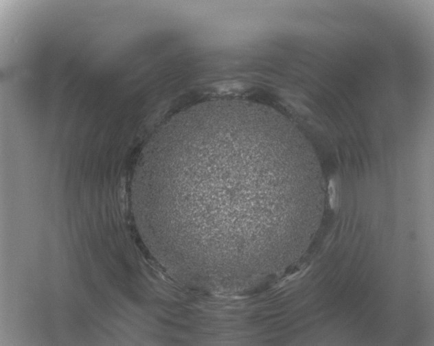 X0000067461395200604142312