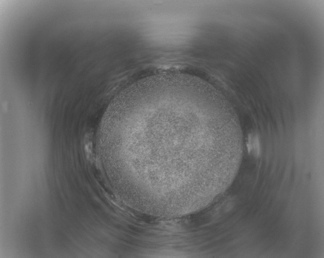 X0000067461396200604142312