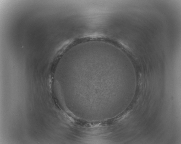 X0000067461398200604142312