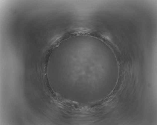 X0000067461399200604142312