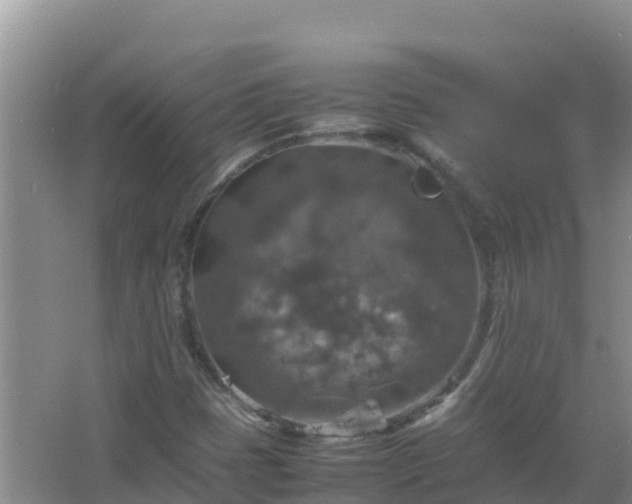 X0000067461401200604142313