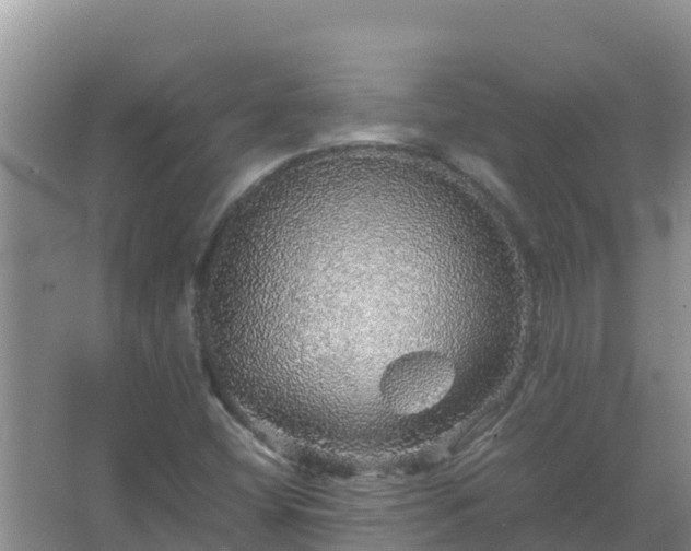 X0000067461404200604142313