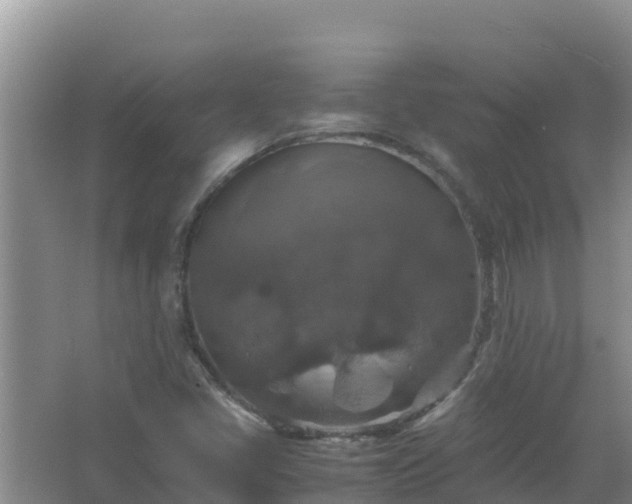 X0000067461405200604142313