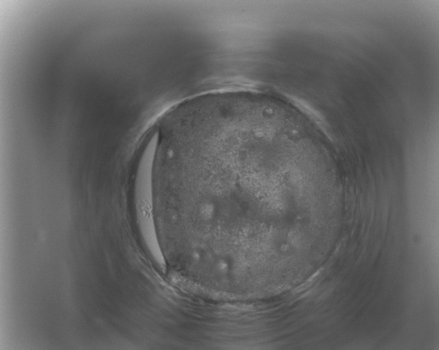 X0000067461407200604142313