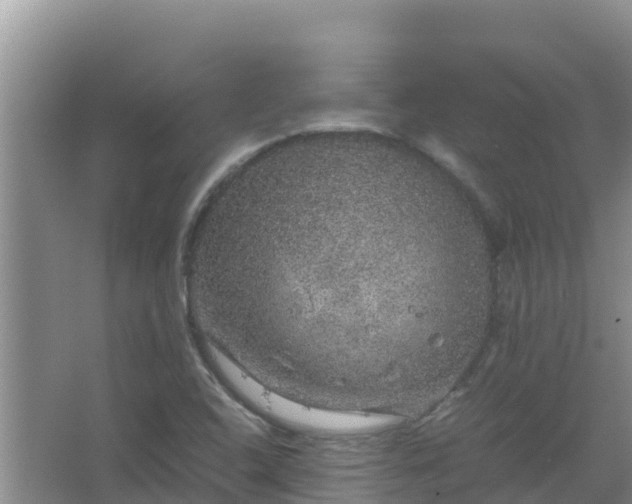 X0000067461408200604142313