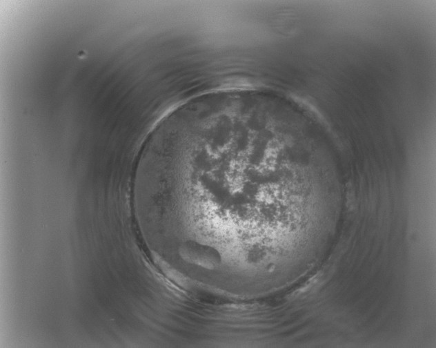 X0000067461409200604142313