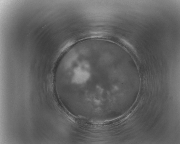 X0000067461411200604142313