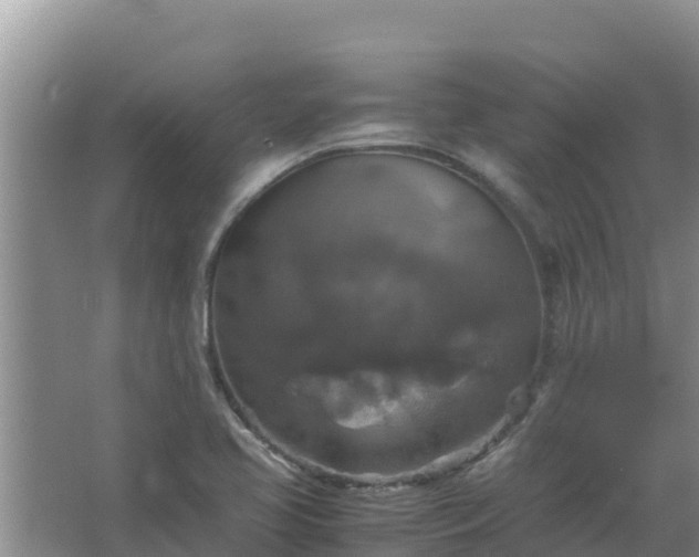 X0000067461413200604142313