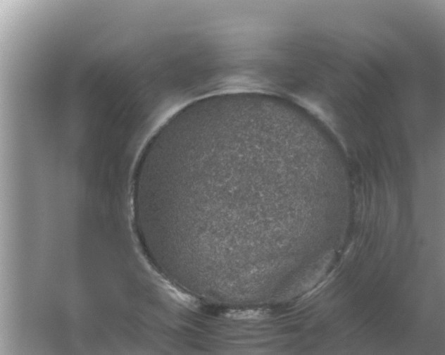 X0000067461415200604142313