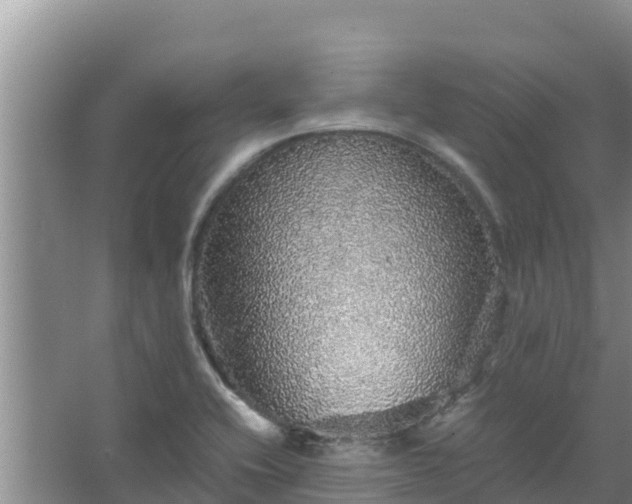 X0000067461416200604142313