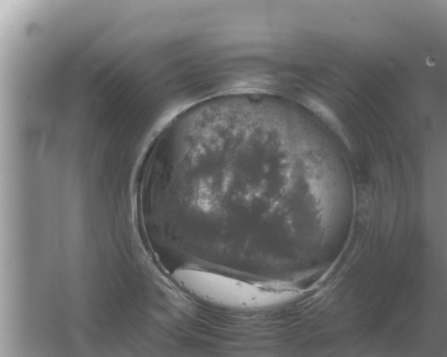 X0000067461419200604142313