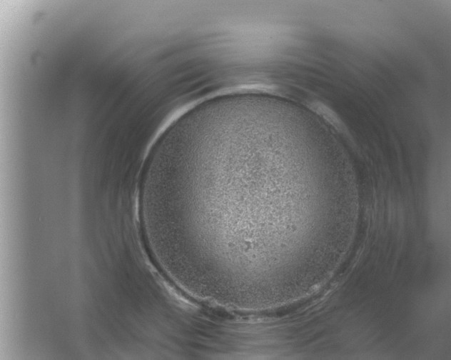 X0000067461420200604142313