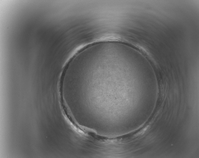 X0000067461422200604142313