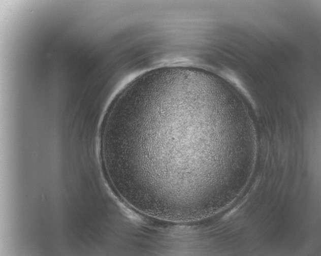 X0000067461424200604142313