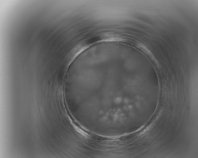 X0000067461425200604142313