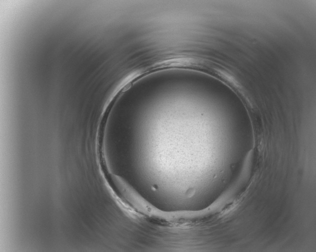 X0000067461426200604142313